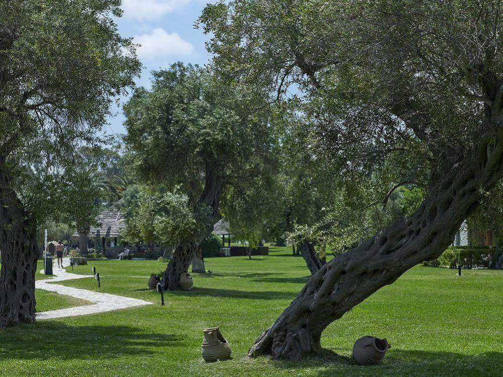 Dassia Chandris Limni  Εξωτερικό φωτογραφία